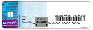 Microsoft License sticker